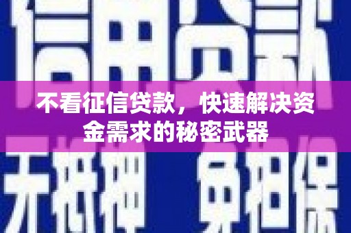 芦淞不看征信贷款，快速解决资金需求的秘密武器