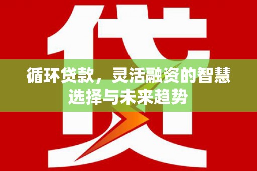 新干循环贷款，灵活融资的智慧选择与未来趋势
