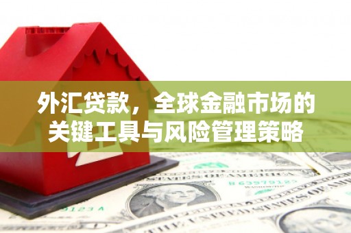新干外汇贷款，全球金融市场的关键工具与风险管理策略