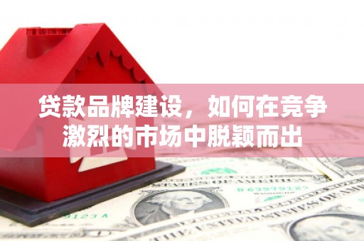 新干贷款品牌建设，如何在竞争激烈的市场中脱颖而出