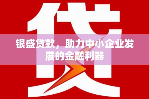 长海银盛贷款，助力中小企业发展的金融利器