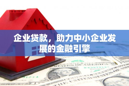 长海企业贷款，助力中小企业发展的金融引擎
