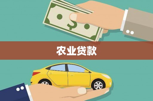 鼎湖农业贷款