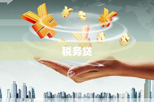 兴安税务贷