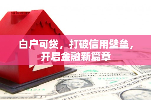 斗南白户可贷，打破信用壁垒，开启金融新篇章