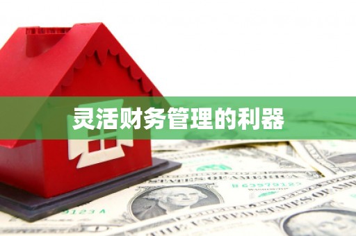 拜城灵活财务管理的利器