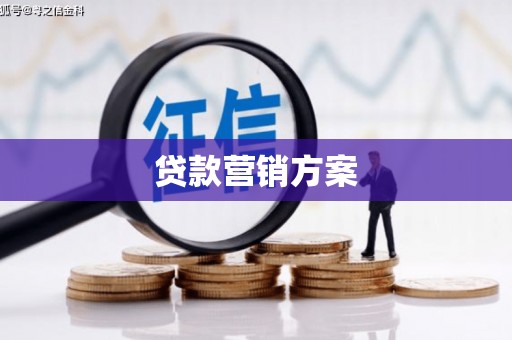 轮台贷款营销方案
