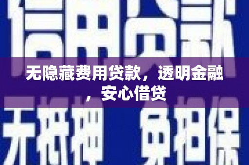 轮台无隐藏费用贷款，透明金融，安心借贷