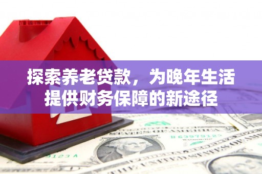 陆川探索养老贷款，为晚年生活提供财务保障的新途径