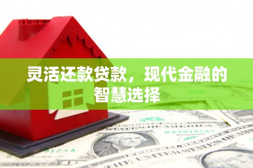 邵东灵活还款贷款，现代金融的智慧选择