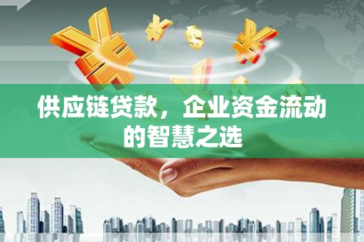 陆川供应链贷款，企业资金流动的智慧之选