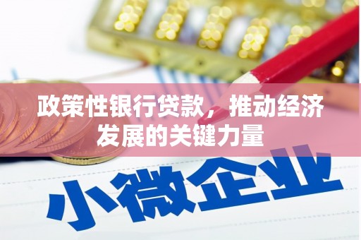 陆川政策性银行贷款，推动经济发展的关键力量