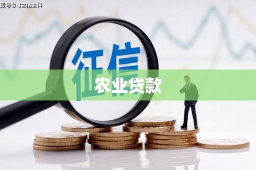 工业园区农业贷款