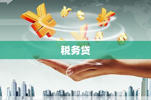 丰顺税务贷