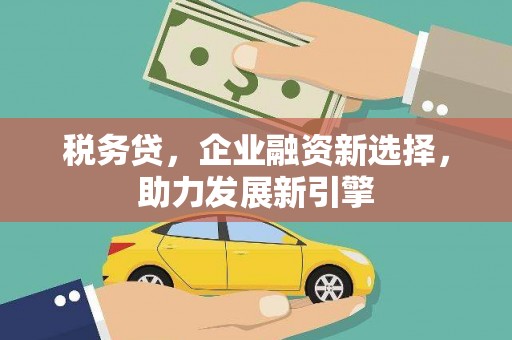 丰顺税务贷，企业融资新选择，助力发展新引擎