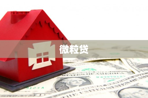 烈屿微粒贷