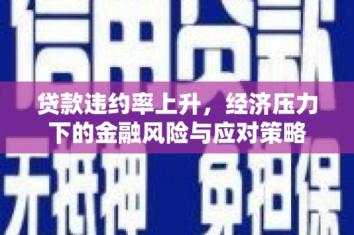 遂昌贷款违约率上升，经济压力下的金融风险与应对策略