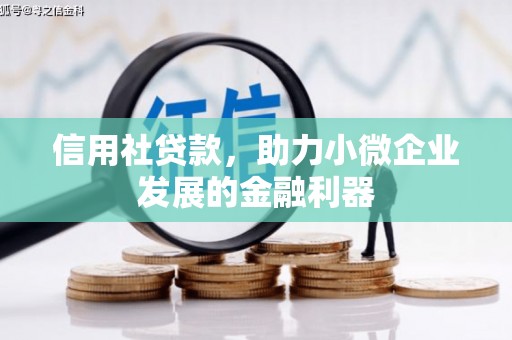 长海信用社贷款，助力小微企业发展的金融利器