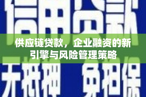 鹤城供应链贷款，企业融资的新引擎与风险管理策略