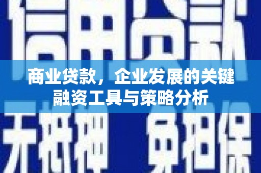 鹤城商业贷款，企业发展的关键融资工具与策略分析
