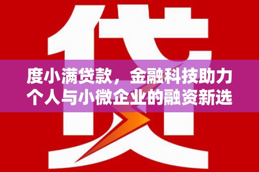 泰和度小满贷款，金融科技助力个人与小微企业的融资新选择