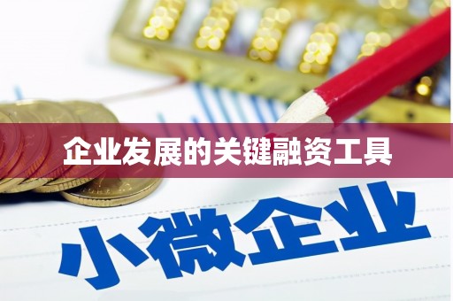 乐都企业发展的关键融资工具