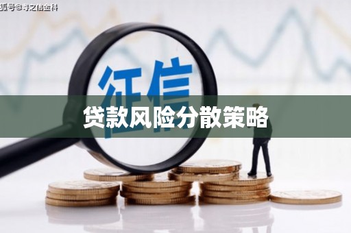 善化贷款风险分散策略