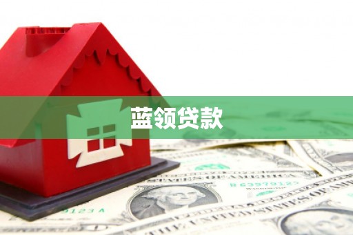 善化蓝领贷款