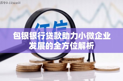 善化包银银行贷款助力小微企业发展的全方位解析
