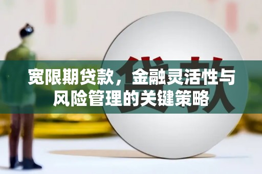 陈仓宽限期贷款，金融灵活性与风险管理的关键策略