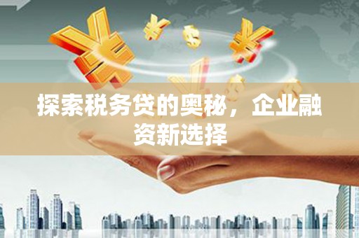 建湖探索税务贷的奥秘，企业融资新选择