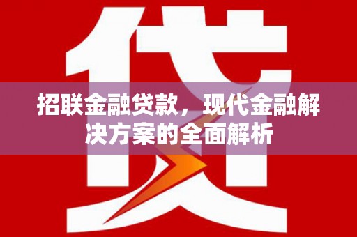 琅琊招联金融贷款，现代金融解决方案的全面解析