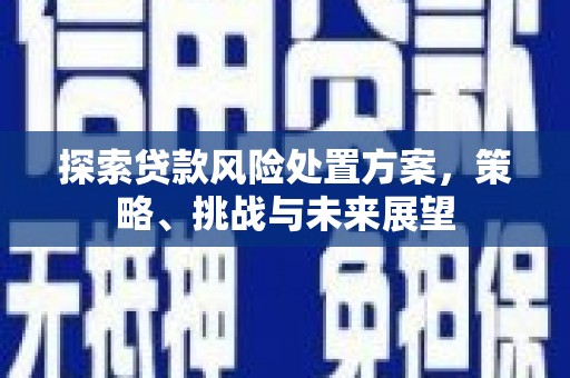 湖南探索贷款风险处置方案，策略、挑战与未来展望