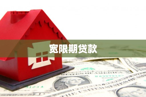 甲仙宽限期贷款
