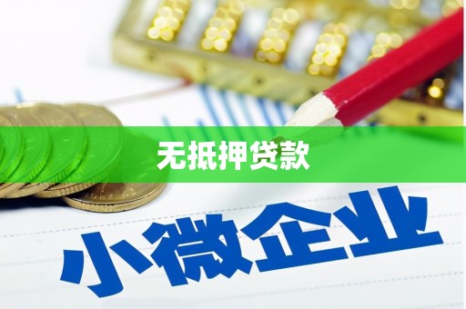 沧源无抵押贷款