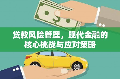朴子贷款风险管理，现代金融的核心挑战与应对策略