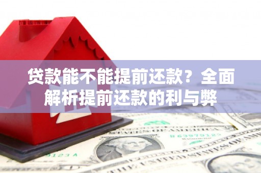 朴子贷款能不能提前还款？全面解析提前还款的利与弊