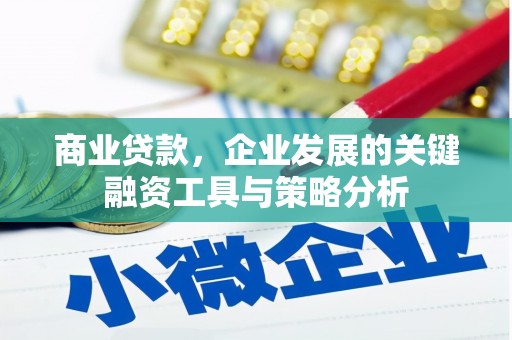 朴子商业贷款，企业发展的关键融资工具与策略分析
