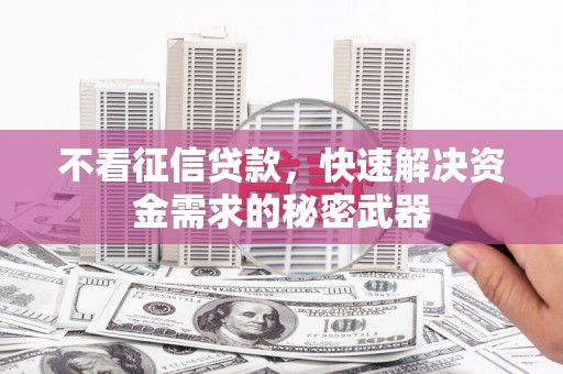 大林不看征信贷款，快速解决资金需求的秘密武器