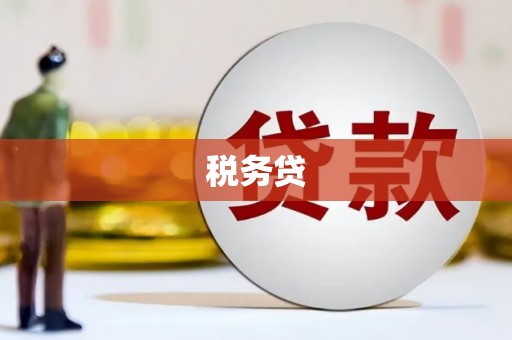 大林税务贷