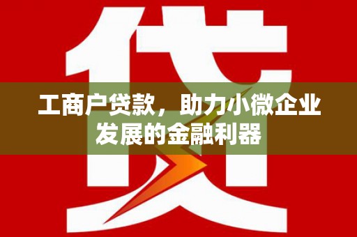 大林工商户贷款，助力小微企业发展的金融利器