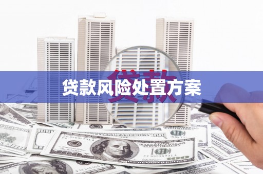 华容贷款风险处置方案