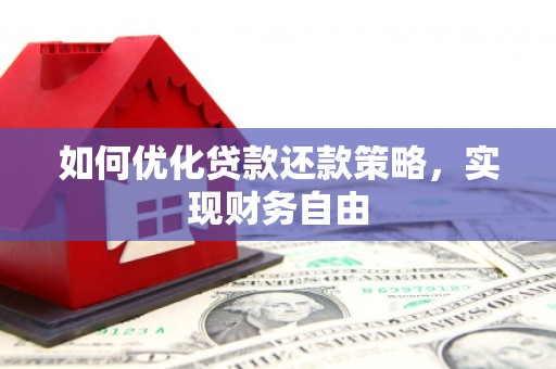 纳雍如何优化贷款还款策略，实现财务自由