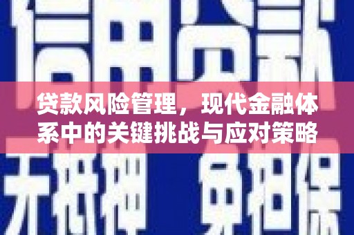 襄阳贷款风险管理，现代金融体系中的关键挑战与应对策略