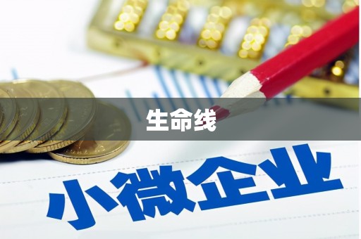 卑南生命线