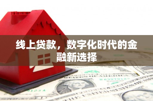 舞钢线上贷款，数字化时代的金融新选择
