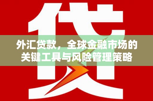 龙岗外汇贷款，全球金融市场的关键工具与风险管理策略