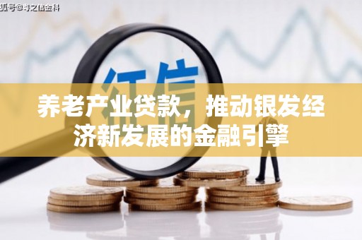 邵东养老产业贷款，推动银发经济新发展的金融引擎