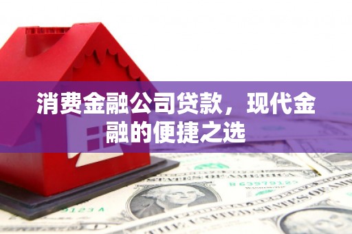 永寿消费金融公司贷款，现代金融的便捷之选