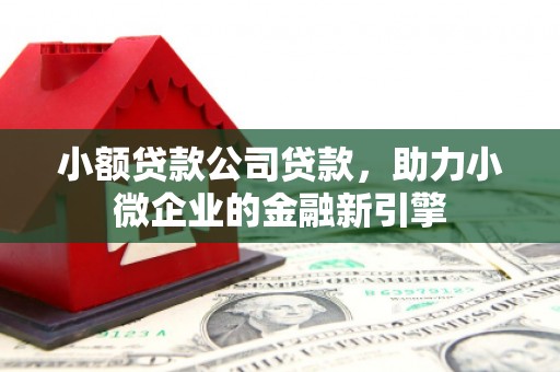 丹凤小额贷款公司贷款，助力小微企业的金融新引擎